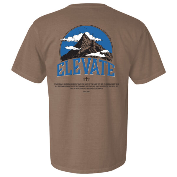 Salty Crew Elevate  - Garment-Dyed Heavyweight T-Shirt Thumbnail